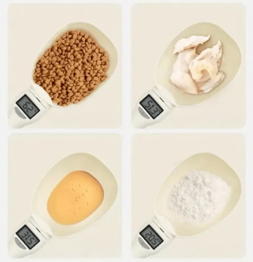 Professional Spoon Scale