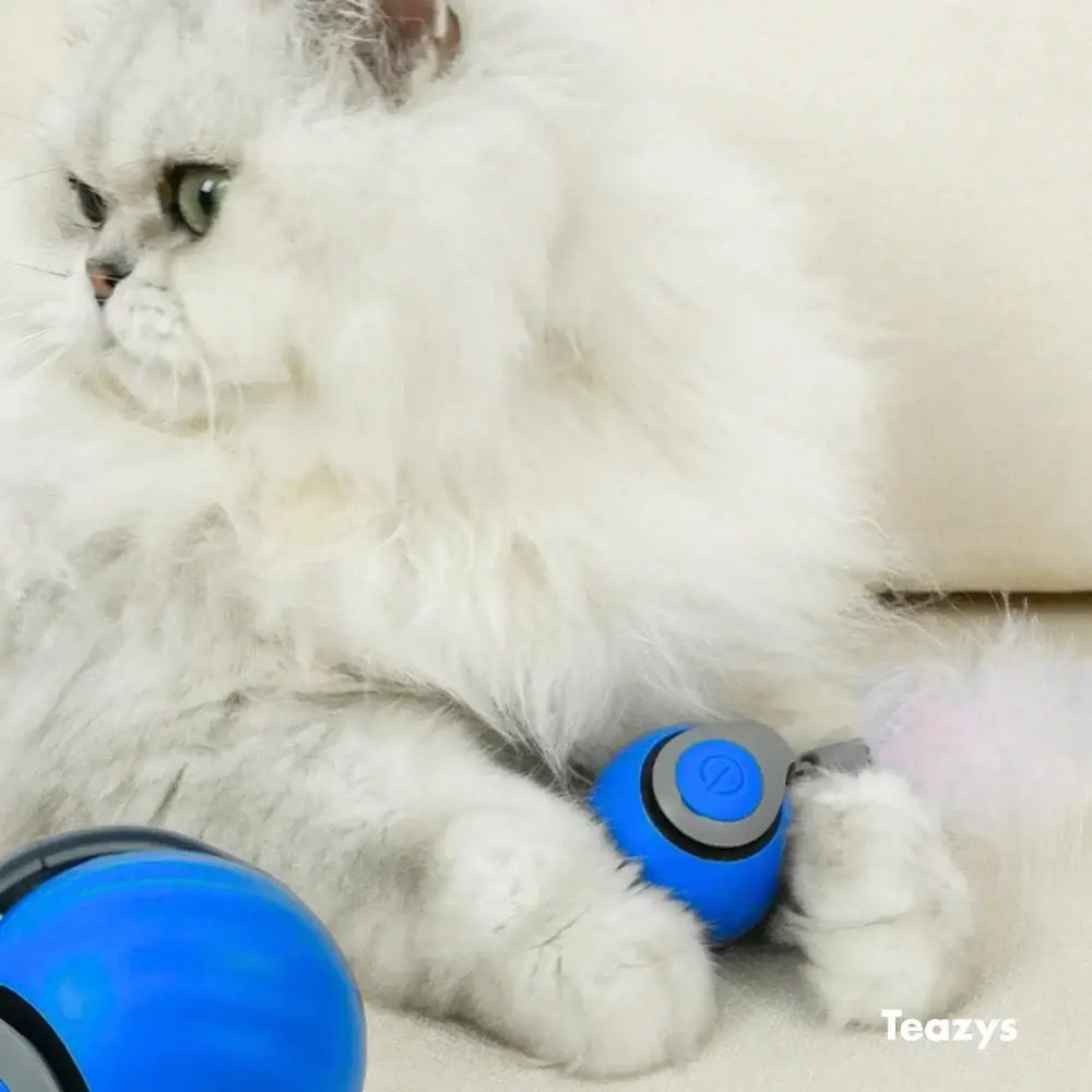 Interactive Cat Toy